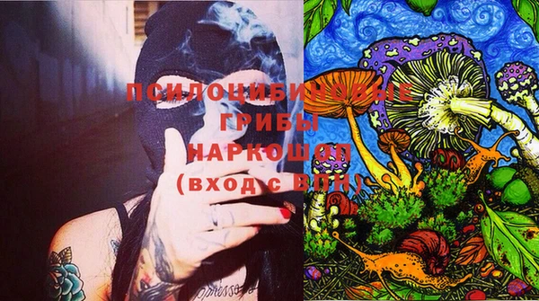 стаф Арсеньев