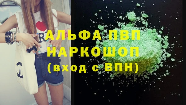 стаф Арсеньев