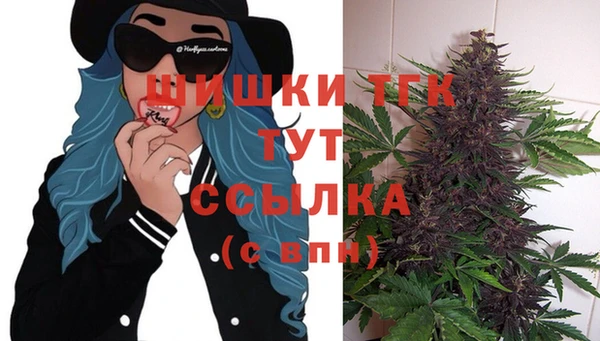стаф Арсеньев