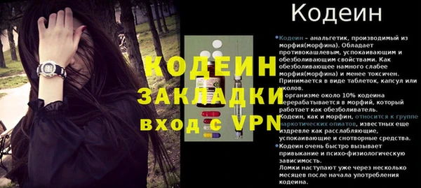стаф Арсеньев