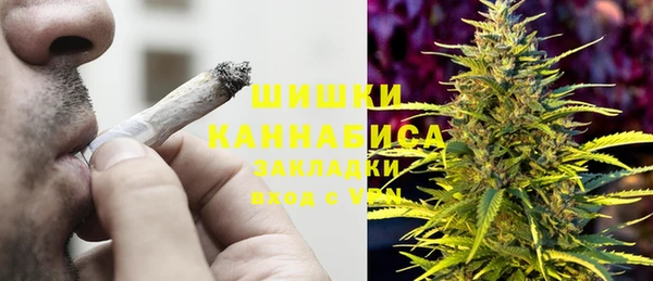 Альфа ПВП Аркадак